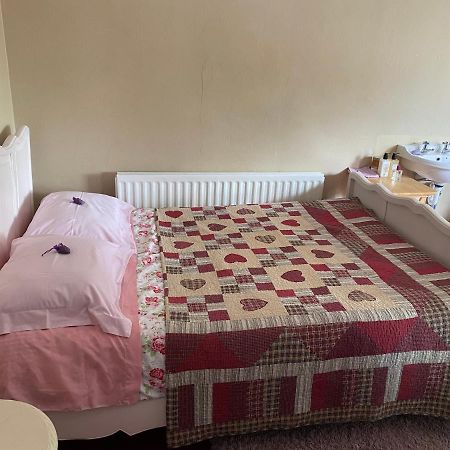 Hotel Brackenberry Belfast Zewnętrze zdjęcie